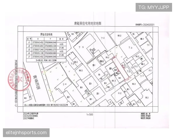 界外判定规则要点：出界标准与掷界权判定